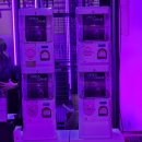 대해코리아 | 2025 코리아 인디게임 쇼케이스 방문 후기!