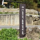 임실상가윷판형암각화유적 이미지