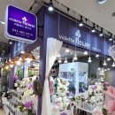 이마트 둔산점 | 대전 꽃다발 이마트근처 가성비꽃집 대전둔산꽃집 비올레뜨 다녀온후기