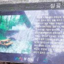 부천둘레길1코스 Daum카페