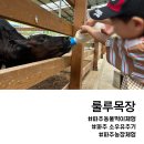 소우목장 네이버블로그