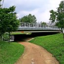 어울림공원 앞 이미지