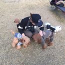 도담정