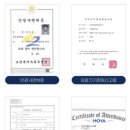 인생안경 이미지