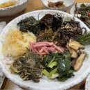 점봉산 산채 | 건강듬뿍 산나물 천국 속초맛집 점봉산산채 내돈내산 방문후기