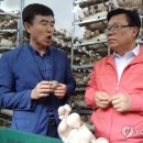 법인이슬팜