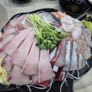 수산상회 | 노량진수산시장 형제상회 내돈내산 단체회식 후기 (생파했음)