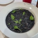 산두로 | [일산] 밤리단길맛집 브런치 추천 깡패고양이 (파스타·리조또 솔직후기)