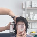 똑똑독 펫살롱 | 【 두랩스 석촌점 &amp; 꾸꾸살롱 】 석촌두피케어 받고 두피각질 개선한 후기