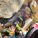 김천맑은계곡 오토캠핑장 이미지