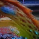 가화만사흥 이미지