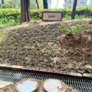 풍산동물병원 | 일산 밤리단길 이국적인 분위기 카페 하디르 커피 국립암센터 근처 커피 맛집 감성 카페 내돈내산 후기