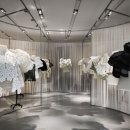 더케이프 이미지