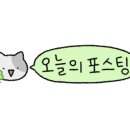 사격팡 이미지