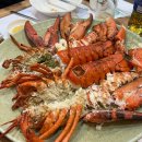 강동구 길동 맛집 삼촌카세 으뜸횟집 소맥이 술술 들어감