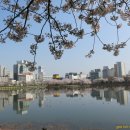 광신고등학교 이미지