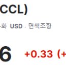 카니발코퍼레이션