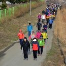 보령-웅천-149 이미지