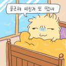 [11월] 둥근해 미친거 또 떴어