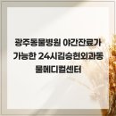 24시김승현외과동물메디컬센터 | 광주동물병원 야간잔료가 가능한 24시김승현외과동물메디컬센터