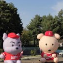 매소홀로290번길R | [야구 직관 후기] SSG 랜더스필드 홈런커플존 1루 B열 14 시야 후기