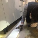 연무약국 | 전주 원룸바퀴벌레 소독비용 및 팁-믿을 수 있는 업체 선택법