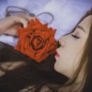 행운돼지 이미지