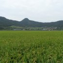 순흥농장 이미지