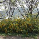 은지가든 이미지