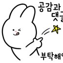 타파웨어 루비라 이미지