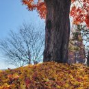 별님과바다 이미지