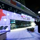 행복 빛으로부터 이미지