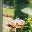 양평별하나톡 수영장가족독채펜션 이미지