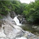 청수대중탕 Daum카페