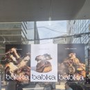 구지로R | [교대 카페 디저트] 미니말레 커피뢰스터 , 헬싱키 라떼랑 초콜릿 바브카 만난 후기