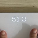 D-5 | W09. 촬영 가봉 D-5 예신의 엉망잔칭 다이어트 후기(에그패스팅, 러닝)