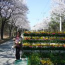 능북초등학교 이미지