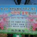 무선로3 이미지