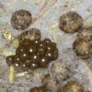 토끼분식 이미지