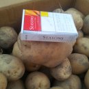 고은농장 이미지