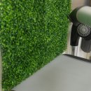 왈왈 살롱 이미지