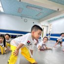 경희석사 백호태권도 이미지