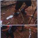 스텝 (STEP)