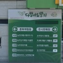[김수자 녹차 족욕 카페] 2박 3일 보성 여행 후기🌿