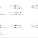 (주)제주맑음