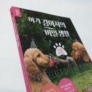클레버알파