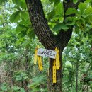 기룡경로당 이미지