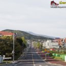 법환동-4 이미지