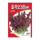 오크린 이미지