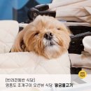 영종도 조개구이 맛집 반려견 동반가능 오션뷰 식당 &#39;황금물고기&#39;